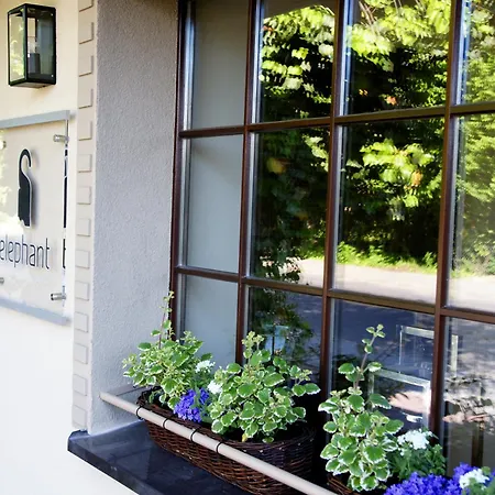 Bed & Breakfast Center House Elephant 3*