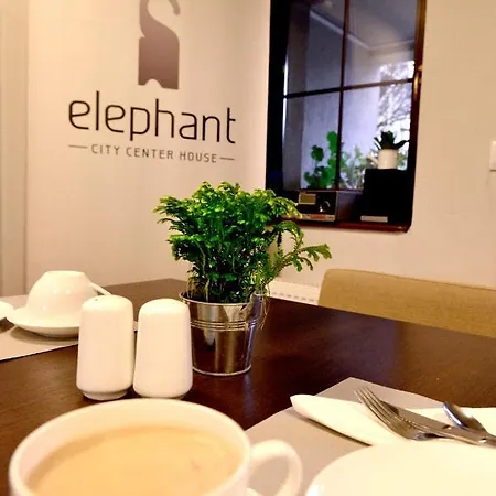 Center House Elephant Bed & Breakfast