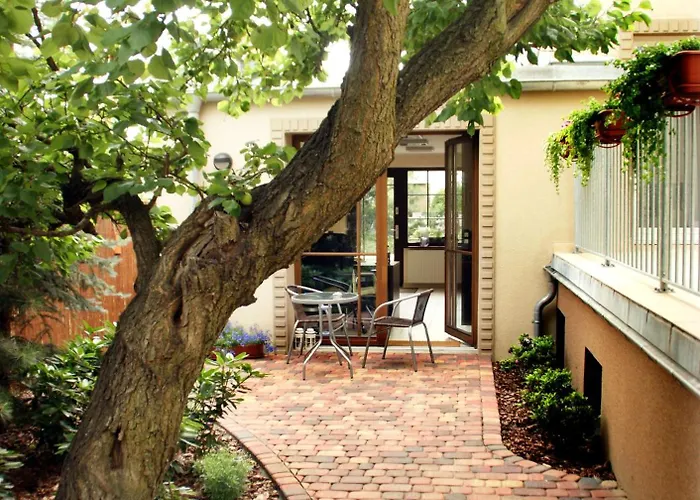 Center House Elephant