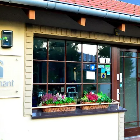 Center House Elephant Познань