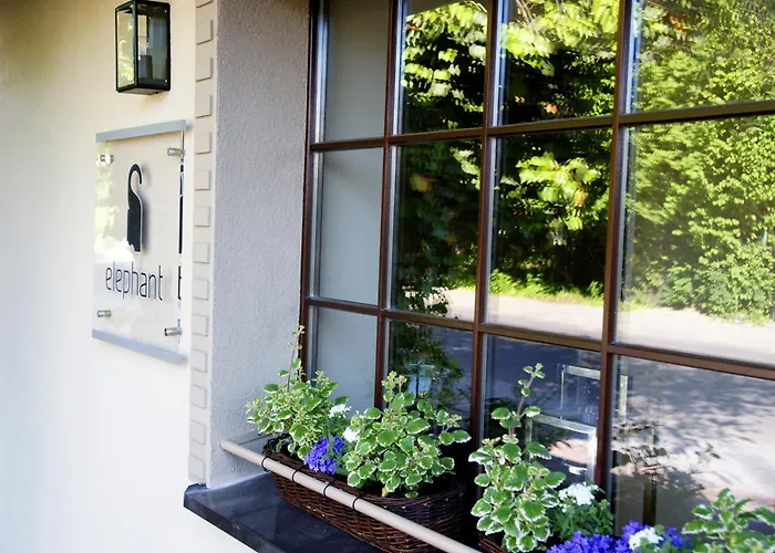 Hébergement de vacances Center House Elephant *