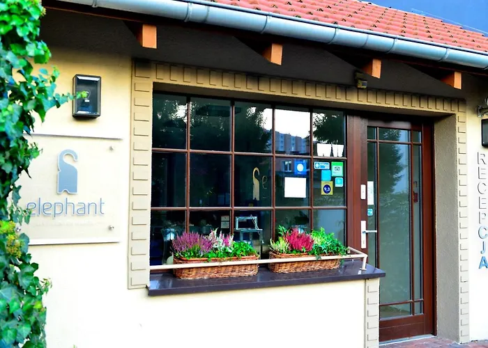 Center House Elephant Poznań